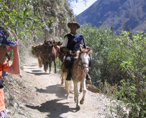 El Camino Inca y tres ascensiones alternativas a Machu Picchu