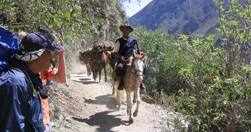 Der Inka-Trail und drei alternative Aufstiege nach Machu Picchu