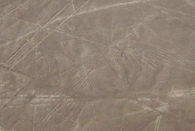 Nazca Lines Condor