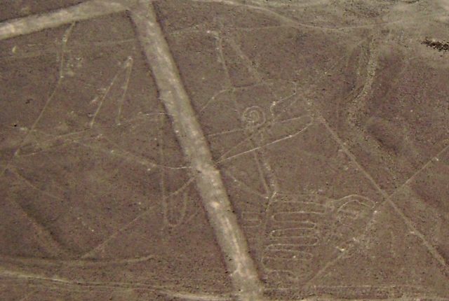 Nazca Linien Wal