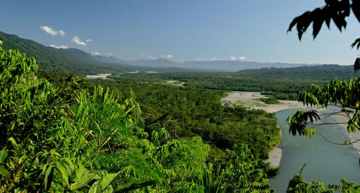 Manu National Park