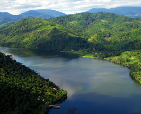 Tarapoto: La Ciudad de las Palmeras