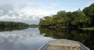 Der Amazonas in Peru