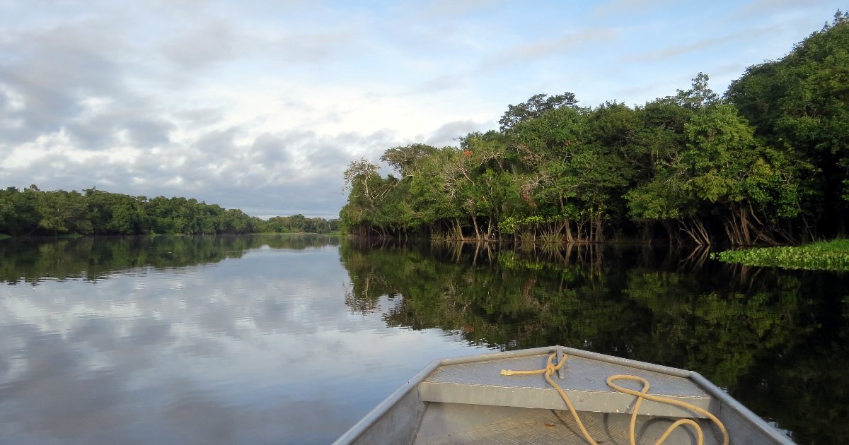 Der Amazonas in Peru