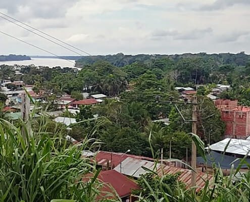 Puerto Maldonado – Seen, Palmen und Schmetterlinge