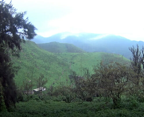 Der Nationalpark Lomas de Lachay