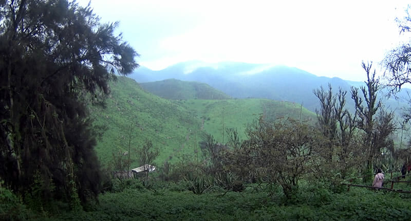 Der Nationalpark Lomas de Lachay