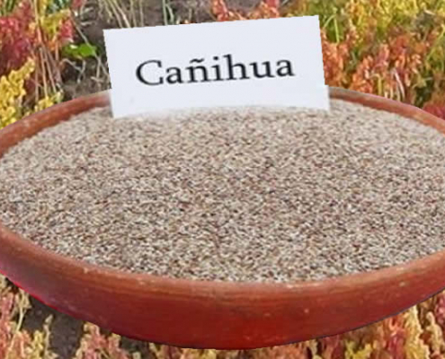 Cañihua – Andengetreide aus Peru