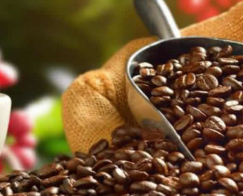 Peruanischer Kaffee aus Puno & Co: Entdecken Sie die Vielfalt des Kaffees im Land der Inkas