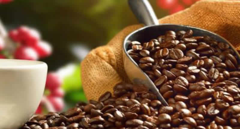 Peruanischer Kaffee aus Puno & Co: Entdecken Sie die Vielfalt des Kaffees im Land der Inkas