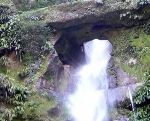 Parque Nacional del Río Abiseo: un paraíso natural y cultural escondido