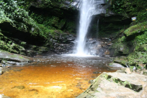 Ahuashiyacu Wasserfall: Ein Naturwunder nahe Tarapoto