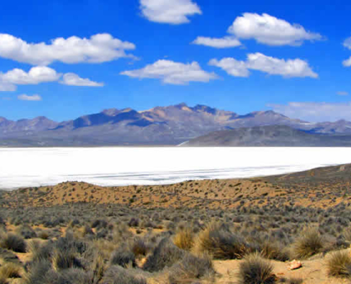 Laguna de Salinas: un maravilla natural cerca de Arequipa