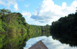 Pacaya Samiria Nationalreservat: Das größte Naturparadies im peruanischen Amazonas