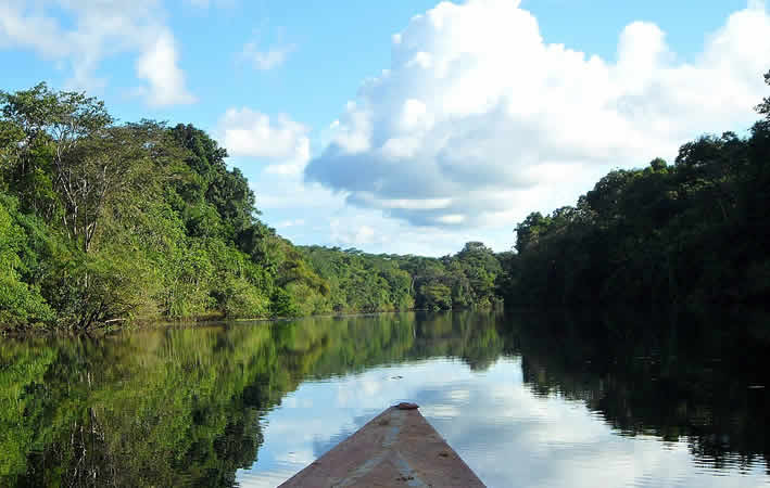 Pacaya Samiria Nationalreservat: Das größte Naturparadies im peruanischen Amazonas