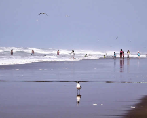 Punta de Bombón: playas de ensueño, historia fascinante y ecoturismo