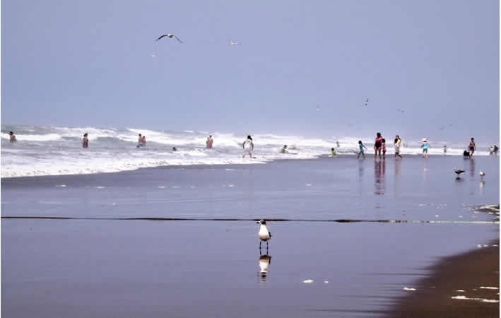 Punta de Bombón: playas de ensueño, historia fascinante y ecoturismo