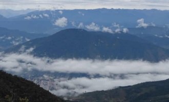 Nationalpark Yanachaga Chemillén – Einzigartige Naturvielfalt in Peru entdecken