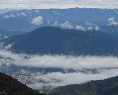 Parque Nacional Yanachaga Chemillén – Descubre la única diversidad natural en Perú