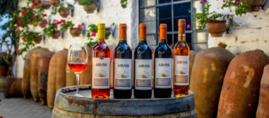Bodega Santa María – Tradition & Genuss in Lunahuaná
