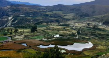 Laguna de Qoricancha (Occeccocha) – Goldene Lagune, graue Spiegel & Zugvögel bei Andamarca