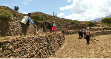 Pata Tarpuy Raymi – Fest der Aussaat in den Andenerías von Andamarca
