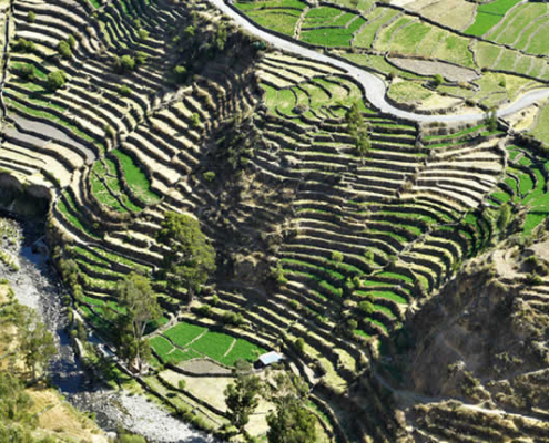Sistema de Andenerías de Andamarca – Obra maestra wari en el Valle del Sondondo