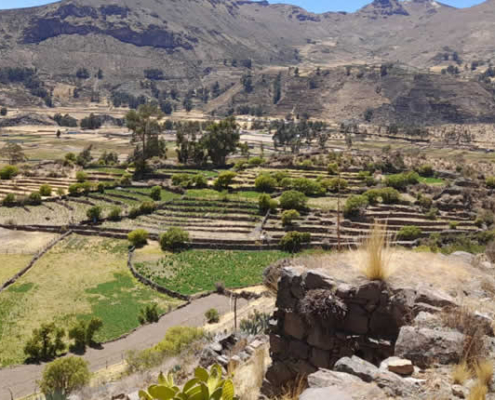 Sitio Arqueológico de Ninaquero – Pucullos con vista al valle del Sondondo