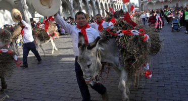 Traditionelle Entrada de Ccapo – Ancestrales Ritual in Cayma