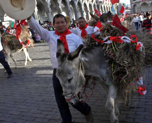 Tradicional Entrada de Ccapo – Ritual ancestral en Cayma