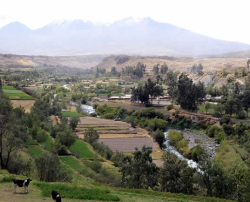 Valle de Chilina – El corazón verde de Arequipa
