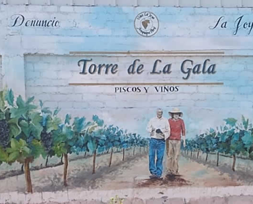 Bodega Torre de la Gala: Wüstenwein, Pisco-Handwerk & Inklusion im Feld