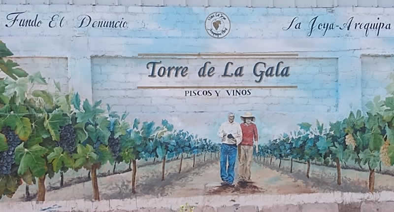 Bodega Torre de la Gala: Wüstenwein, Pisco-Handwerk & Inklusion im Feld