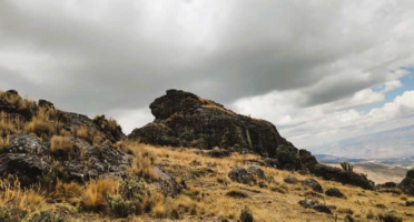 Bosque de Piedra de Runasayacc – Steinfiguren im Hochland von Iguain