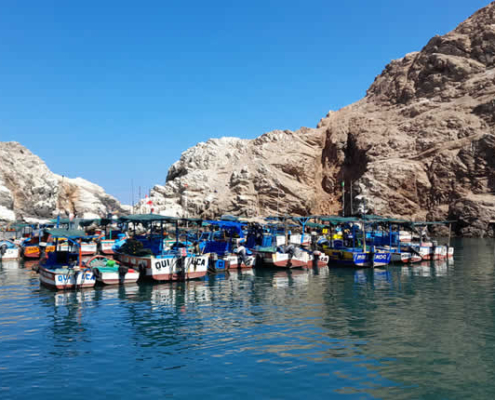 Caleta de Quilca: puerto histórico y paraíso natural en la costa del Pacífico de Arequipa