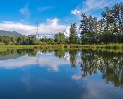 Humedal de Huaper – refugio verde en Azángaro, Luricocha