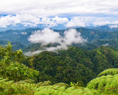 Mirador Junín Libertad – vista panorámica sobre la selva del VRAEM