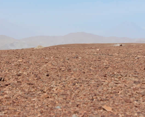 Pampas de La Joya: Atacama-Dünen, Marslandschaften & Abenteuer westlich von Arequipa