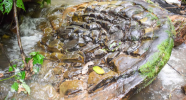 Piedras de Negrohuaycco de Los Ángeles – rocas místicas, inscripciones y cascadas en el VRAEM