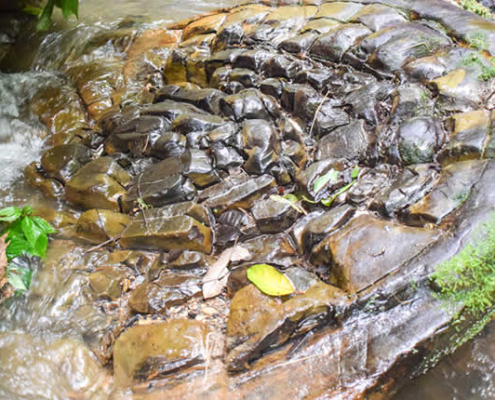 Piedras de Negrohuaycco de Los Ángeles – rocas místicas, inscripciones y cascadas en el VRAEM