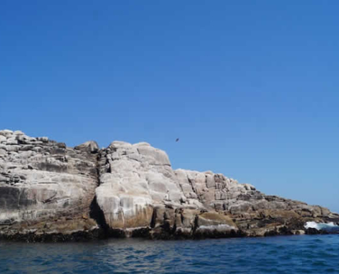 Punta Hornillos: Paraíso natural salvaje en Quilca, provincia de Camaná