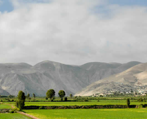 Valle del Río Camaná: fertilidad entre desierto, río y Pacífico