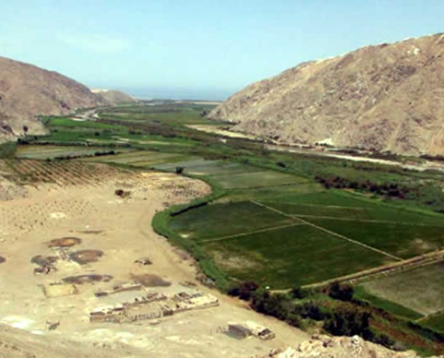 Valle del Río Quilca: valle costero fértil entre Pacífico, historia y cultura andina