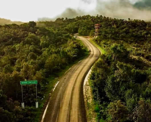 Área de Conservación Ambiental Bosque de Sho’llet – Bosque nuboso entre Oxapampa y Villa Rica
