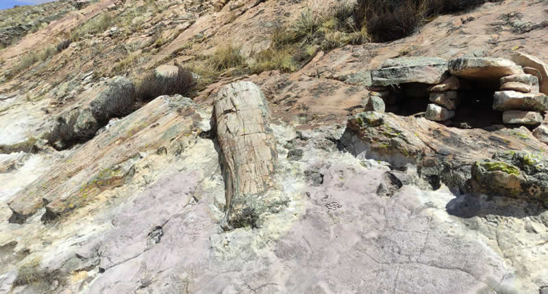 Bosque Petrificado de Kakenkorani – bosque fósil sobre Azángaro