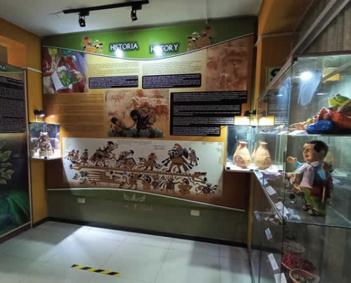 Museo de la Coca y Costumbres in Puno – Heilige Blätter und lebendige Traditionen