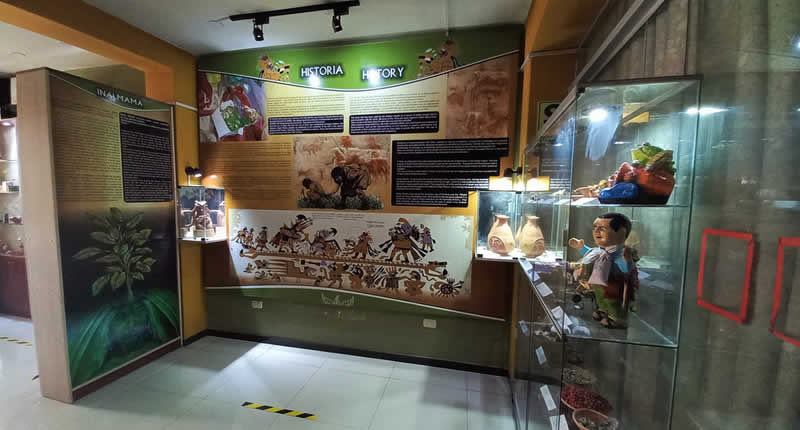 Museum de la Coca y Costumbres in Puno – Heilige Blätter und lebendige Traditionen