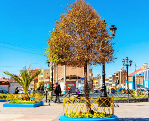 Parque de la Cultura en Puno – Agua, arte y cultura andina en el corazón de la ciudad