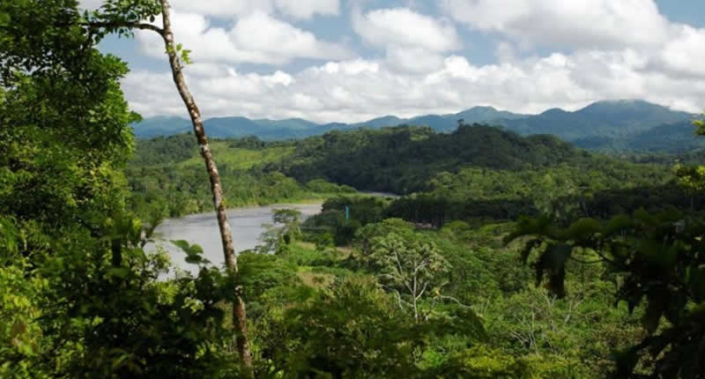 Parque Nacional Bahuaja Sonene – Unberührter Regenwald zwischen Anden und Amazonas