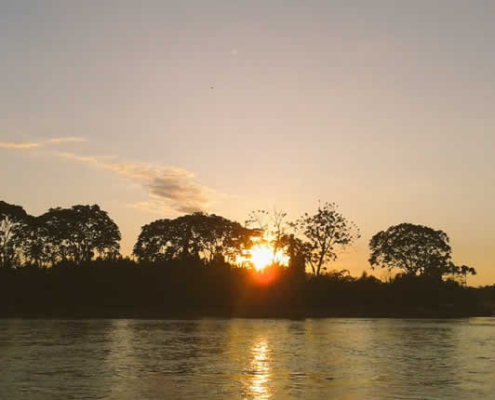 Reserva de Biosfera Oxapampa-Asháninka-Yánesha: tesoro natural y cultural en Pasco